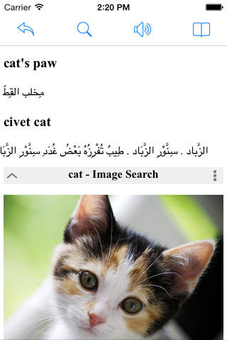 Online arabic english dictionaries